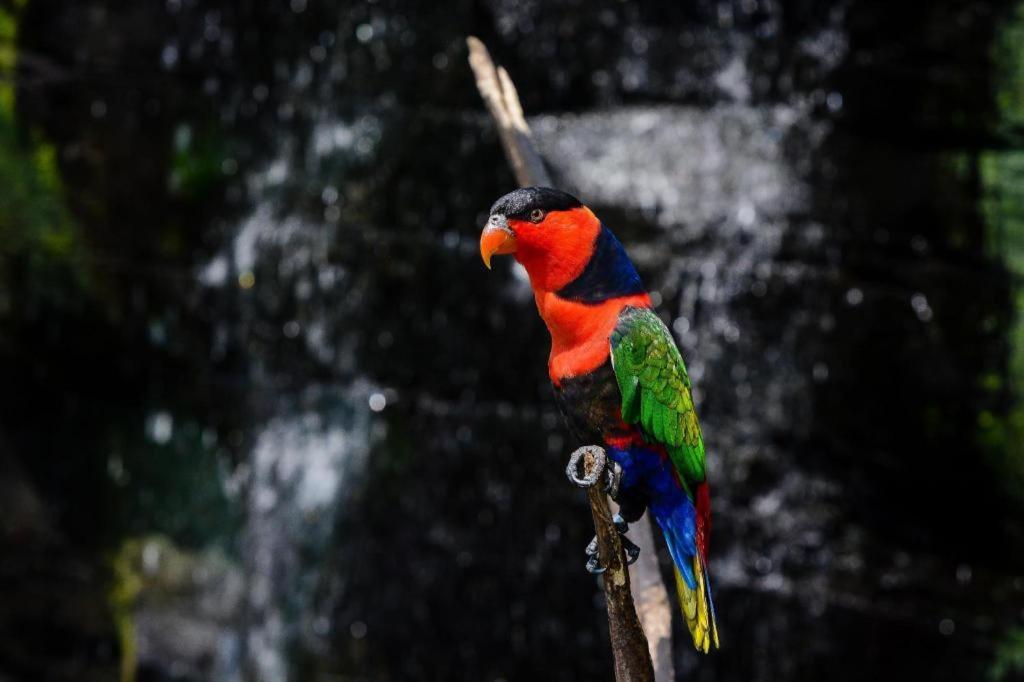 Al Abror Homestay Mandala Krida Mitra Reddoorz Yogyakarta Dış mekan fotoğraf